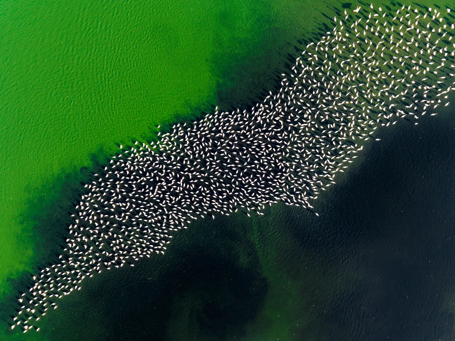 Shutterstock 2465413979